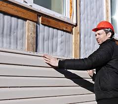 Best Custom Siding Design  in Rossvle, IL